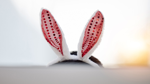 A person working on a computer whilst wearing bunny ears. The ears themselves are only visible over the PC monitor. Fo